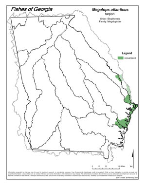 tarpon Region Map