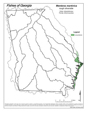 rough silverside Region Map