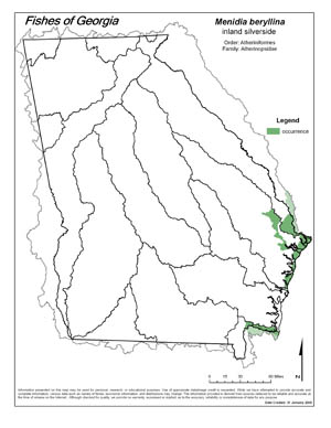 inland silverside Region Map