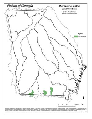 Suwannee bass Region Map