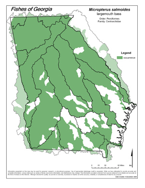 largemouth bass Region Map