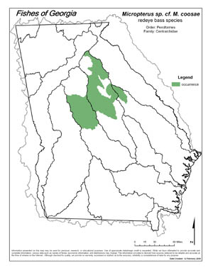 Altamaha Bass Region Map