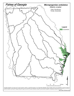Atlantic croaker Region Map
