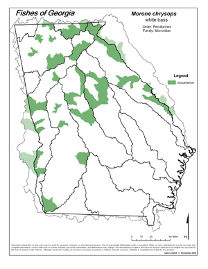 white bass Region Map