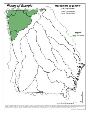 black redhorse Region Map