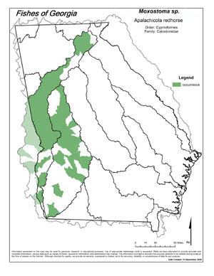 Apalachicola redhorse Region Map