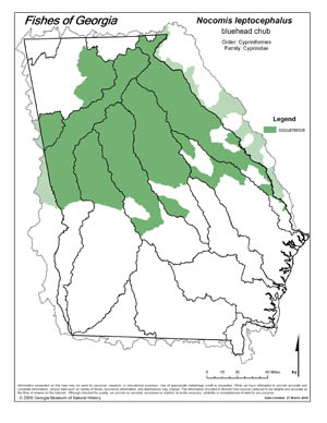bluehead chub Region Map