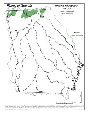 river chub Region Map