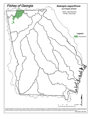 burrhead shiner Region Map