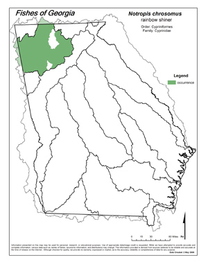 rainbow shiner Region Map