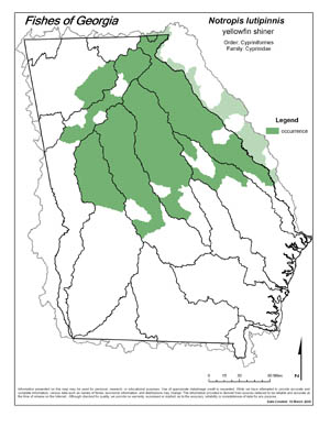yellowfin shiner Region Map