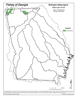 telescope shiner Region Map