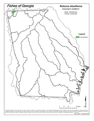 mountain madtom Region Map