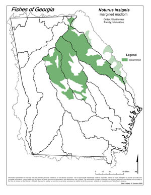 margined madtom Region Map