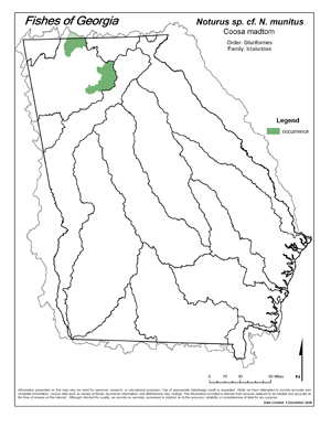 Coosa madtom Region Map