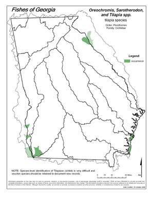 tilapia species Region Map