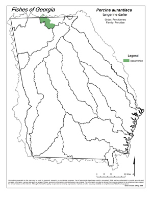 tangerine darter Region Map