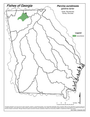goldline darter Region Map