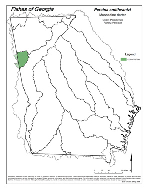 Muscadine darter Region Map