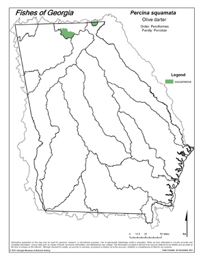 olive darter Region Map