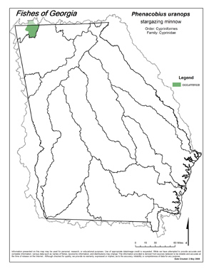 stargazing minnow Region Map