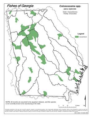 pacu species Region Map