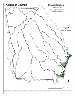 sailfin molly Region Map