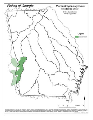 broadstripe shiner Region Map