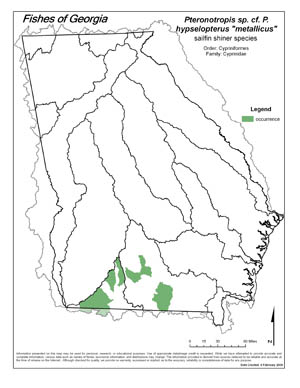 metallic shiner Region Map