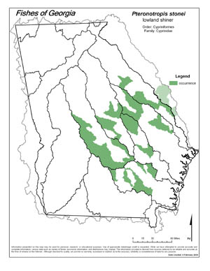lowland shiner Region Map