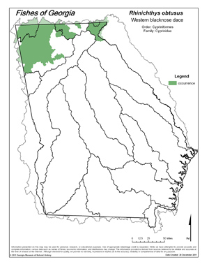 western blacknose dace Region Map