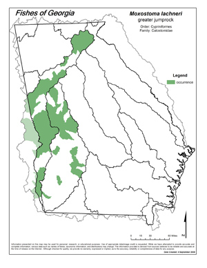 greater jumprock Region Map