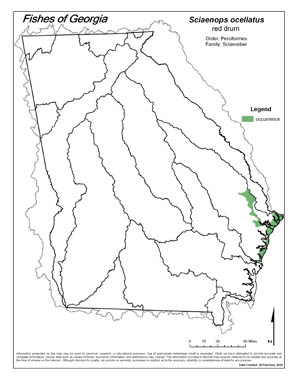 red drum Region Map