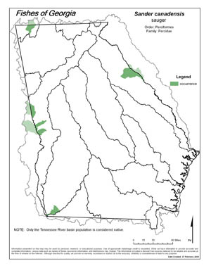 sauger Region Map