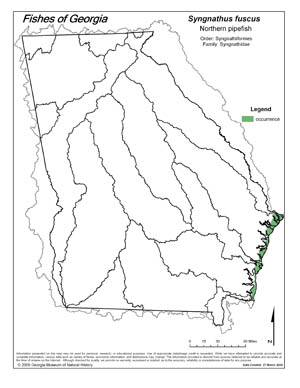northern pipefish Region Map