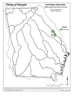 white cloud mountain minnow Region Map