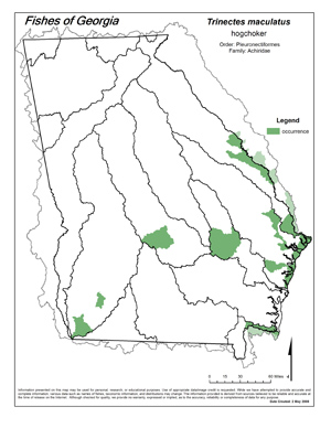 hogchoker Region Map