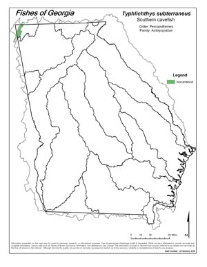 southern cavefish Region Map