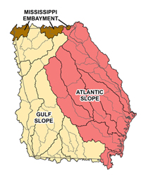 Huc8 Watersheds of Georgia